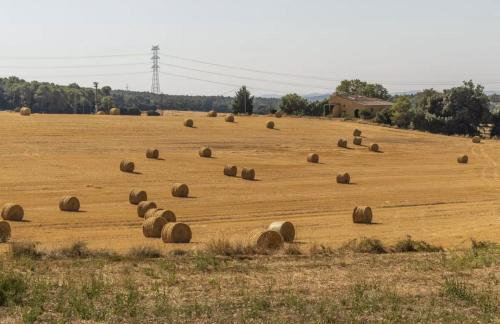 Ca La Maria - Foto 42