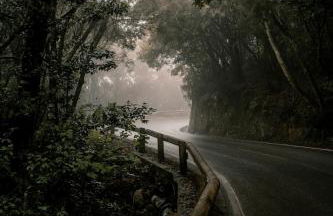 Acapulco Apartamento cerca de Santa Cruz y del mar - Foto 55