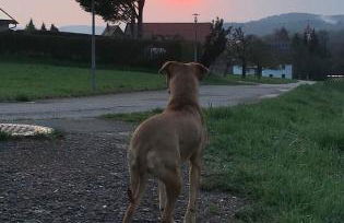 Souterrain Ferienwohnung - Foto 30