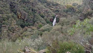 O cantinho d'abelheira - Foto 3