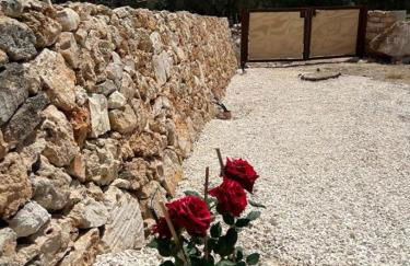 Tenuta L'uliveto - Foto 33