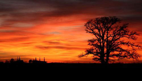 Pet-Friendly Getaway with a Hot Tub near Austin Texas - Foto 3