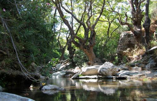 Villa Bellevue - Foto 23