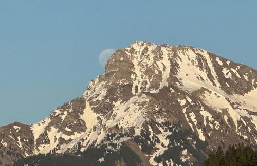 2-bed appt 20 mins from Morzine Portes du Soleil French Alps - Foto 52