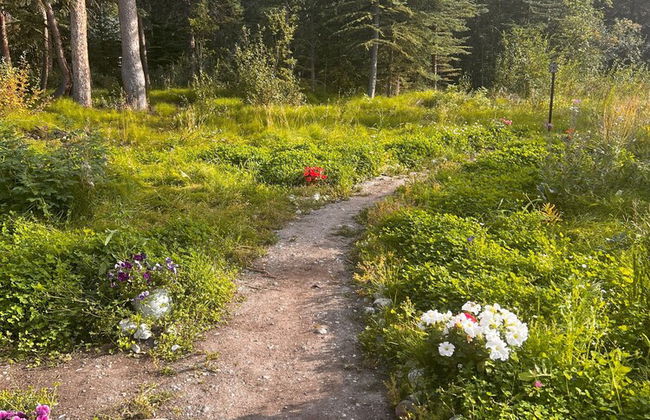 Little Atlin Lodge - Photo 64