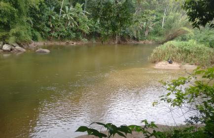 Recanto da natureza - Photo 8