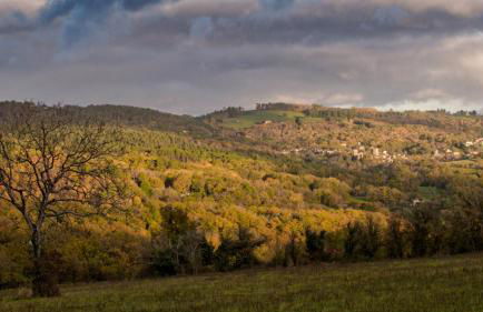 Gite de la source du Touron - Foto 13