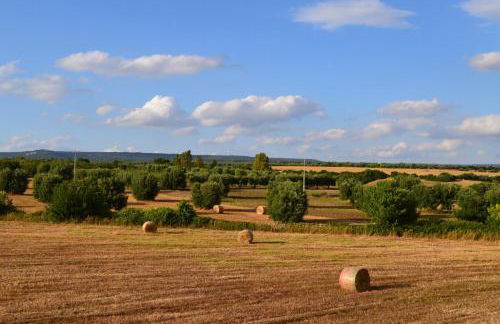 Masseria Triglie - Foto 25
