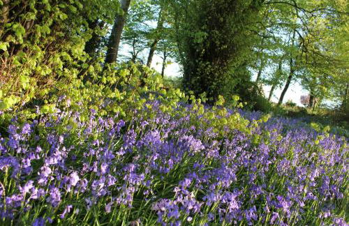 Dromore House Historic Country house - Foto 55