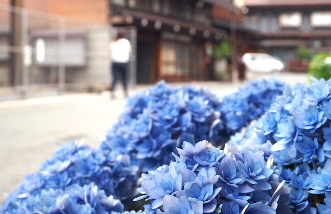 Kibun no Niwa - Photo 13