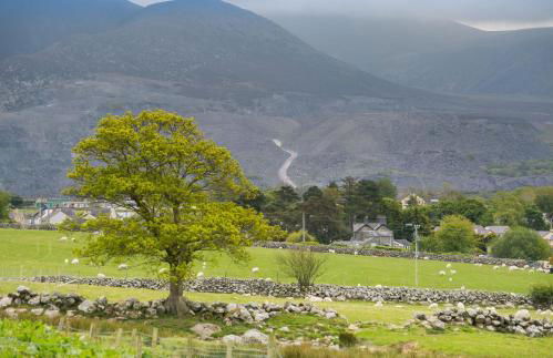 Tan y Bryn Bach - Foto 39