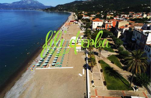 Fili d'Erba Cilento - Foto 69