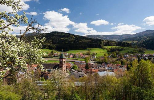 Fewo Blumenweg - Foto 1