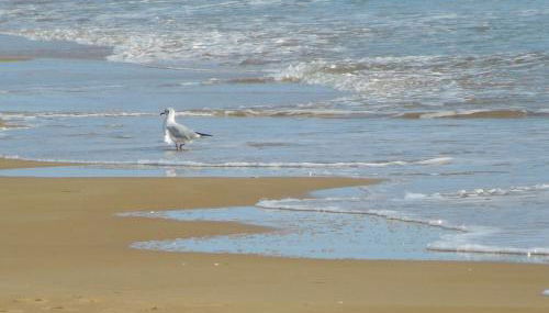 Vacanze a Casa Pozzallo - Foto 3