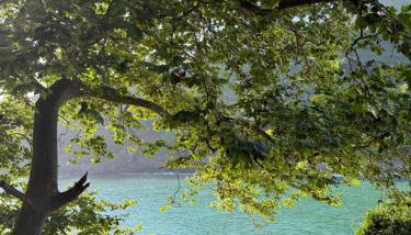 Casa Digna Castro Urdiales - Foto 1