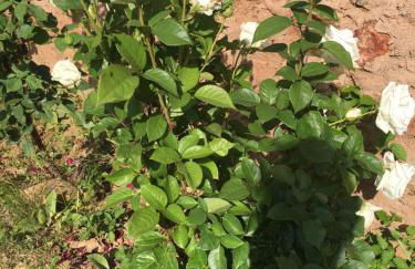 La Casa del Cartero Pablo - Foto 52