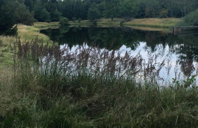 House in Bohemian Near Ski Slope - Foto 24