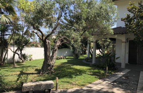 Sa Crannaccia - Foto 12