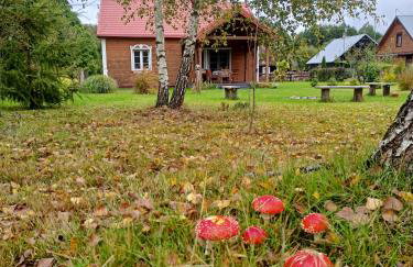 Jałówka - odpocznij na Podlasiu - Foto 6