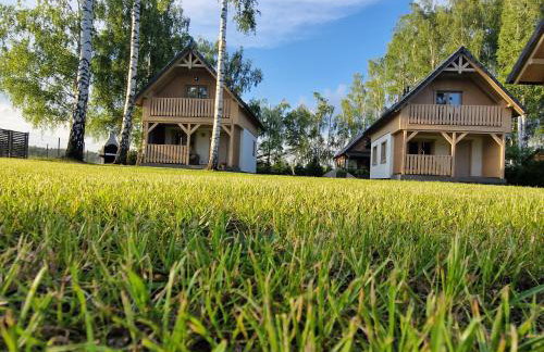 Wiele Żurawi - Foto 5