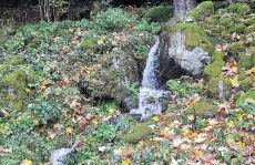 Gîte Le Clos des Vosges - Foto 33