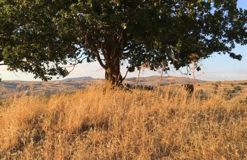 Agriturismo San Pietro - Foto 59