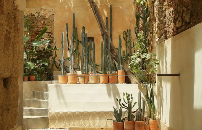 FIXIE LOFTS - Colonial Villa Suites with Pool - Foto 51