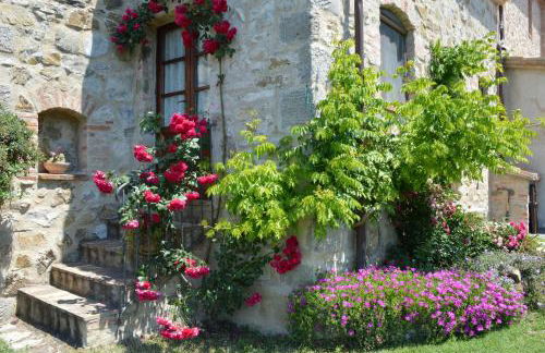 Bellavista - Foto 71