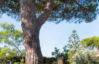 Villa Giolù - Foto 83