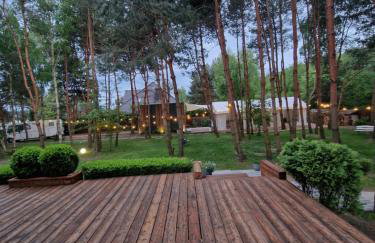 Modra Sikorka - Foto 43