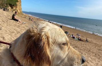 Strongate Orchard Farm stay Bridport Dorset- Jurassic Coast 10 min drive - Foto 16