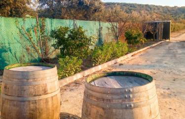 Charming House with Pool in Montilla - Foto 77