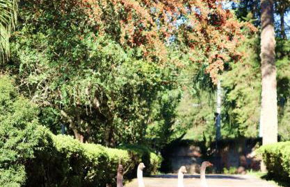 Casa com WiFi e lazer em Campina Grande do Sul - Foto 56