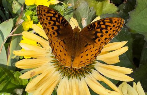 Mid-Century DJs Dream near Rhinebeck - Photo 20