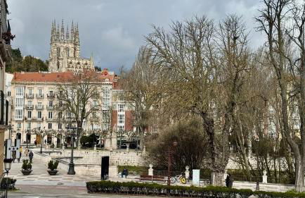 Centro Burgos Real Consulado 1787 - Foto 50