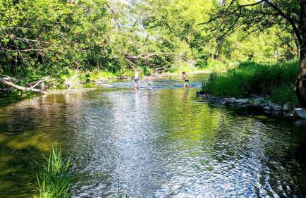 Ferienwohnung im Hambach - Foto 11