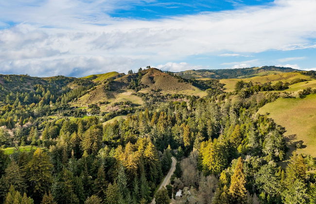 Pacific Coast Redwoods Cabin for Family - Foto 78