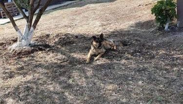 Ήσυχη μονοκατοικία κοντά στη θάλασσα!!! - Foto 2