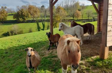 Gîte Mascotte - Foto 18