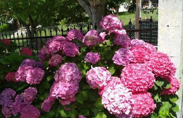 Elati Electra's Cozy House - Foto 23