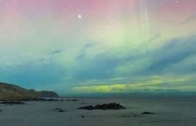 Catlins Newhaven Holiday Park - Foto 43