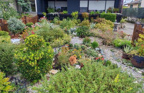 Apartman Ivana - Foto 30