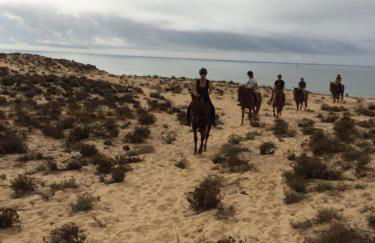 Casa Palmeria , Quinta da Saudade - Foto 13