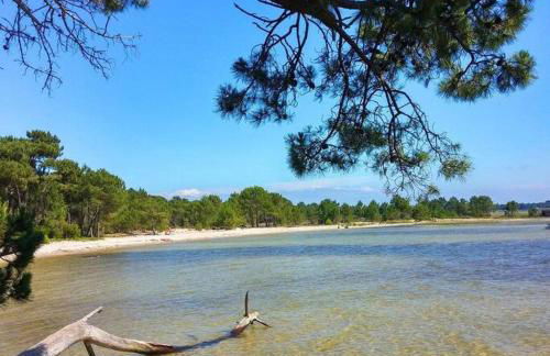 Studio entre forêt et lac - Foto 22