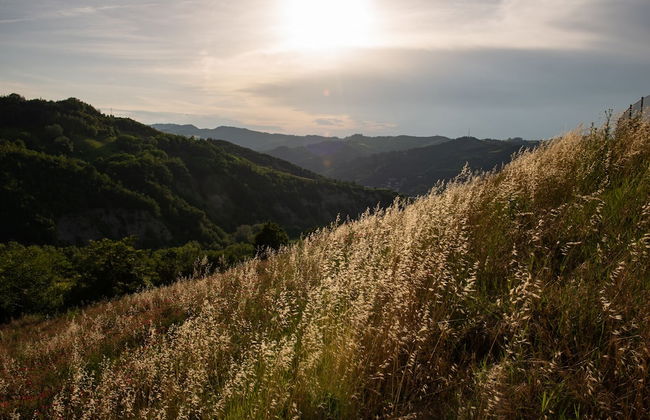 Agriturismo Podere Ceriano - Photo 63