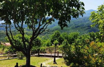 DIMITRA's VILLAS - Foto 36