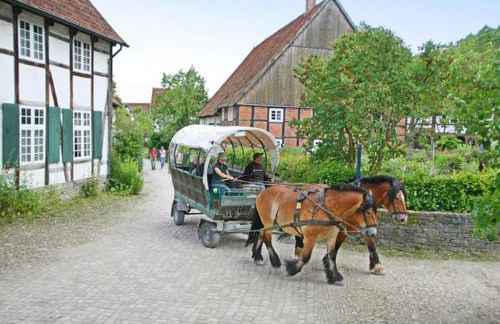 FeWo Charlotte - Foto 41