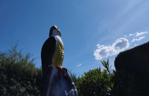 Posada del Moral - Photo 12