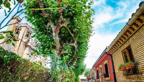 La casa de la abuela - Foto 5