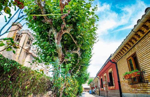 La casa de la abuela - Foto 5